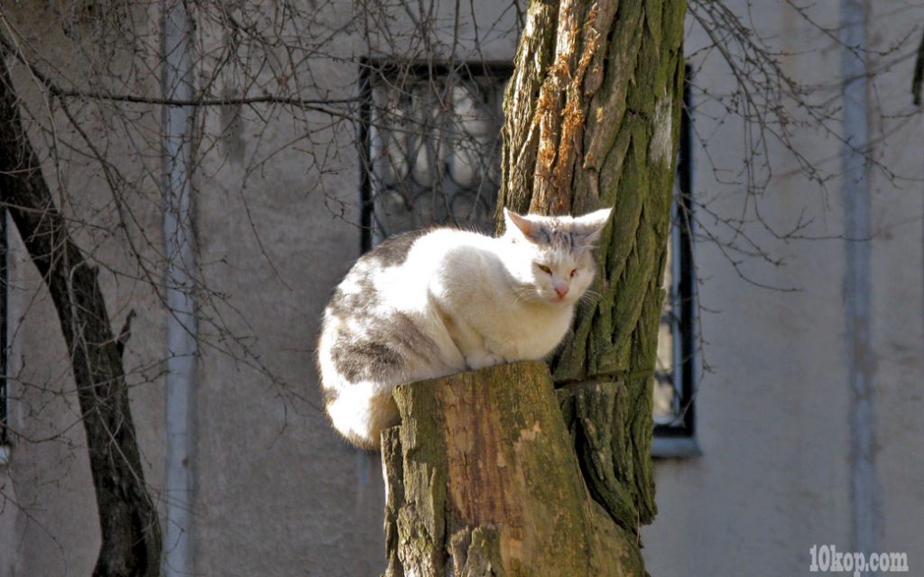 На солнышке