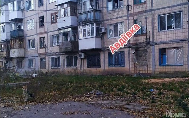 Авдеевка сегодня (соцсети)